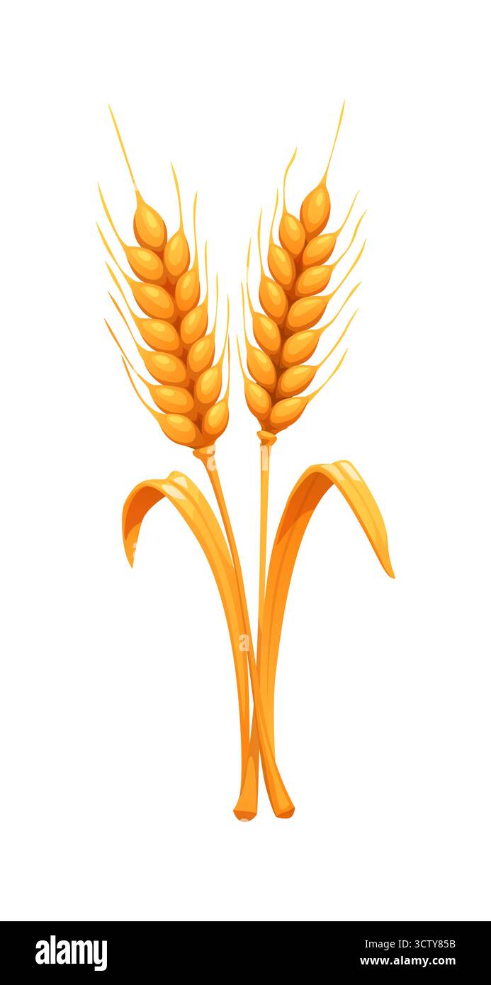 Oreilles de blé de dessin animé avec tige et feuilles d'automne Illustration de Vecteur