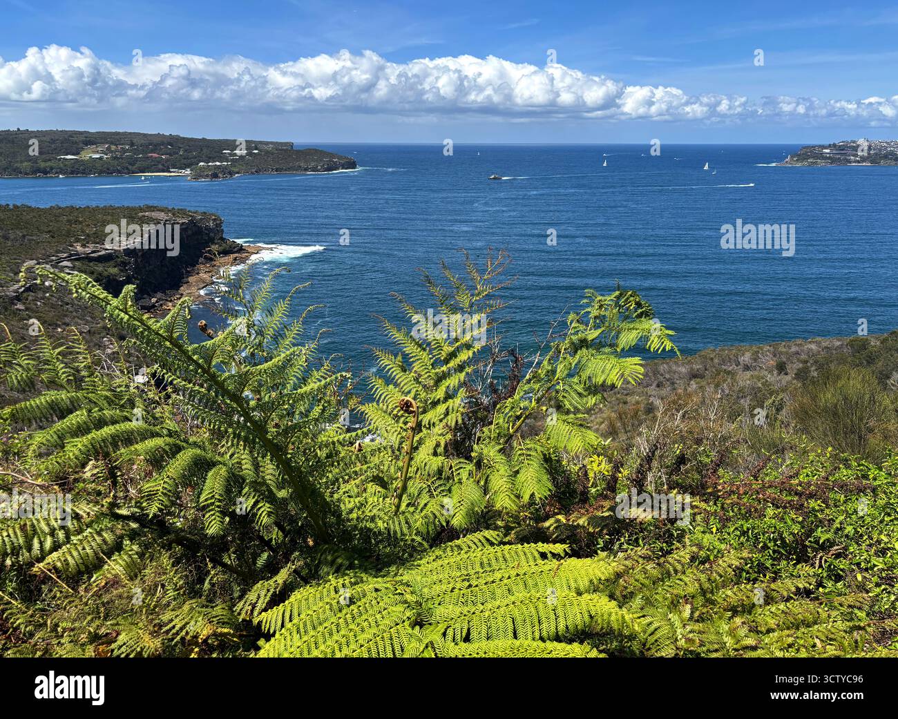 Vue sur Sydney Heads, entrée du port de Sydney, depuis le parc national du port de Sydney, Nouvelle-Galles du Sud, Australie - Image de stock capturée avec un smartphone