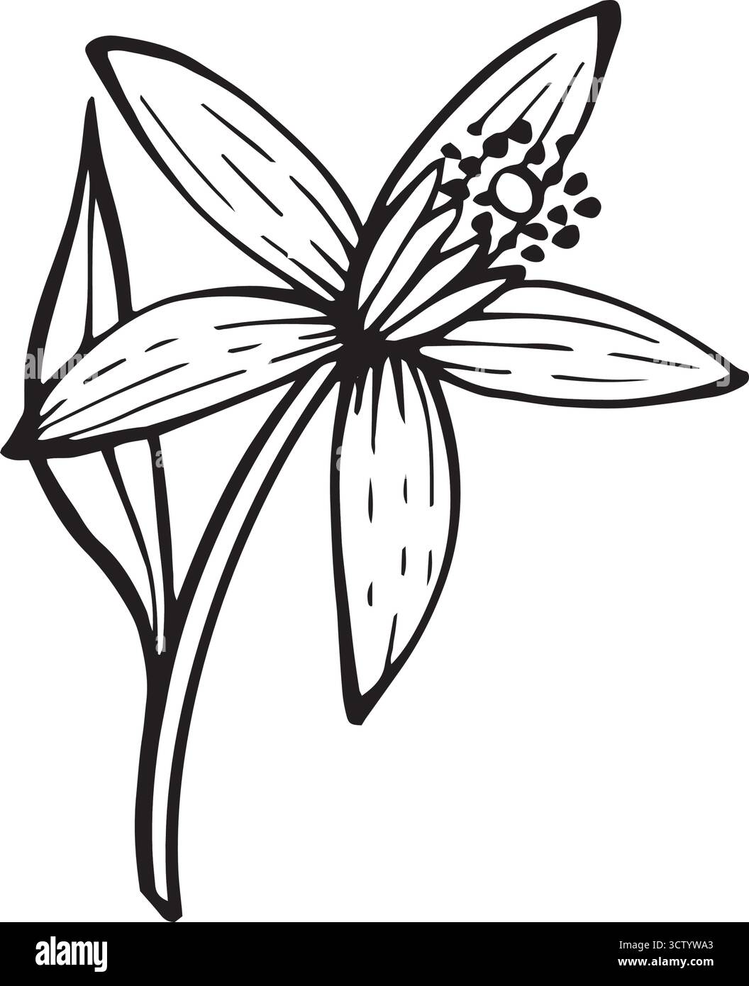 Illustration vectorielle en noir et blanc d'une fleur en fleurs avec feuille dans un style élégant d'art au trait. Parfait pour la conception botanique, croquis de tatouage, emballage Illustration de Vecteur