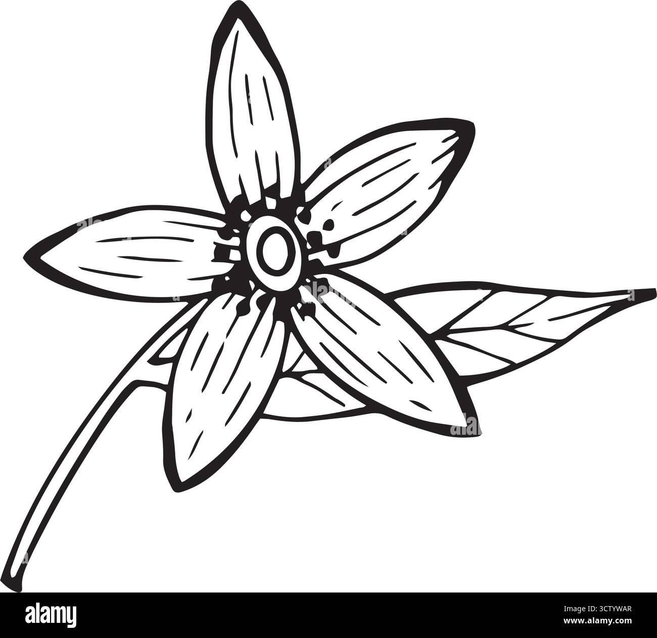 Illustration vectorielle en noir et blanc d'une fleur en fleurs avec feuille dans un style élégant d'art au trait. Parfait pour la conception botanique, croquis de tatouage, emballage Illustration de Vecteur