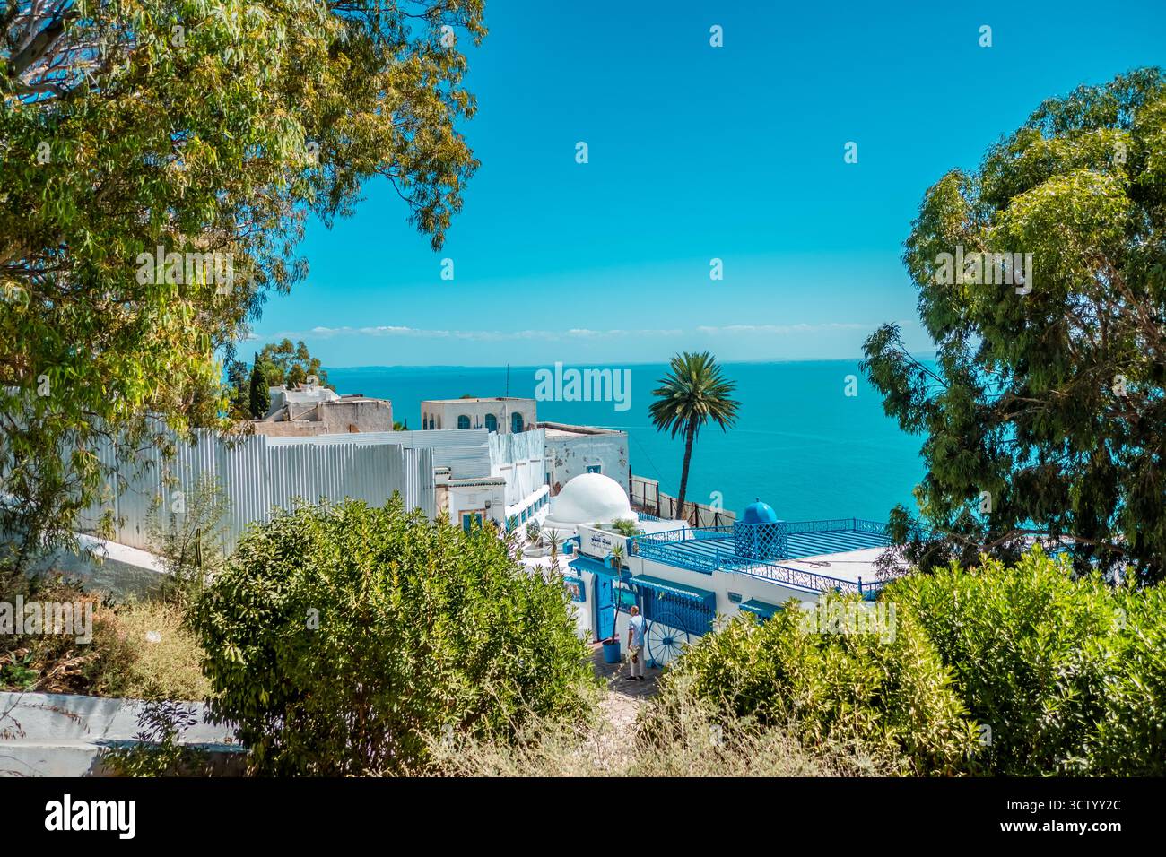 Belles maisons blanches-bleues traditionnelles dans la ville de Sidi Bou Said, Tunisie Banque D'Images