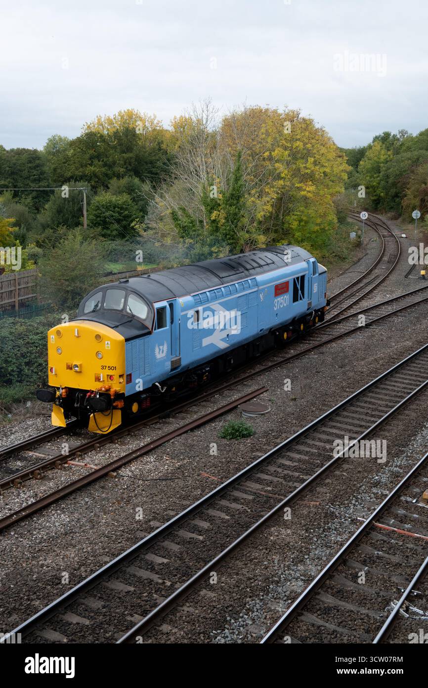 Locomotive diesel de classe 37 n° 37501 'Teesside Steelmaster' à Hatton, Warwickshire, Angleterre, Royaume-Uni Banque D'Images