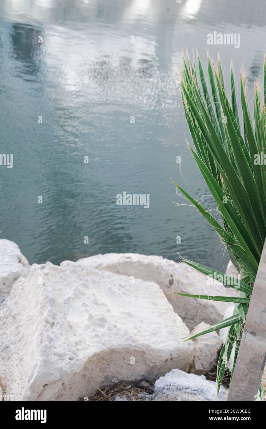 Une vue magnifiquement sereine sur l'eau calme et claire, avec des roches lisses et des plantes vertes vibrantes qui bordent le rivage Banque D'Images