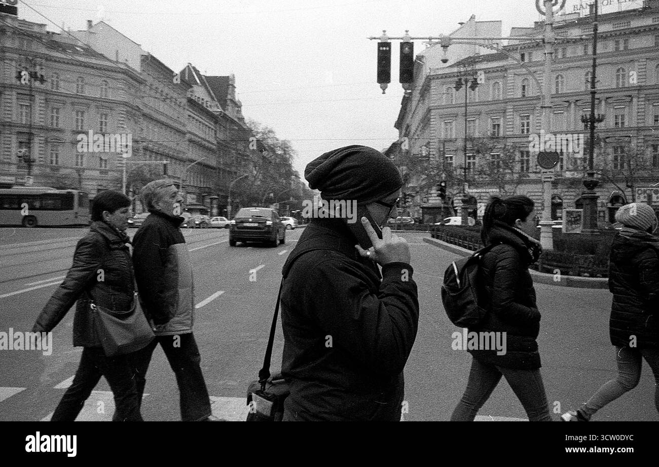 Analog Archive documentaire photo Dairy Banque D'Images