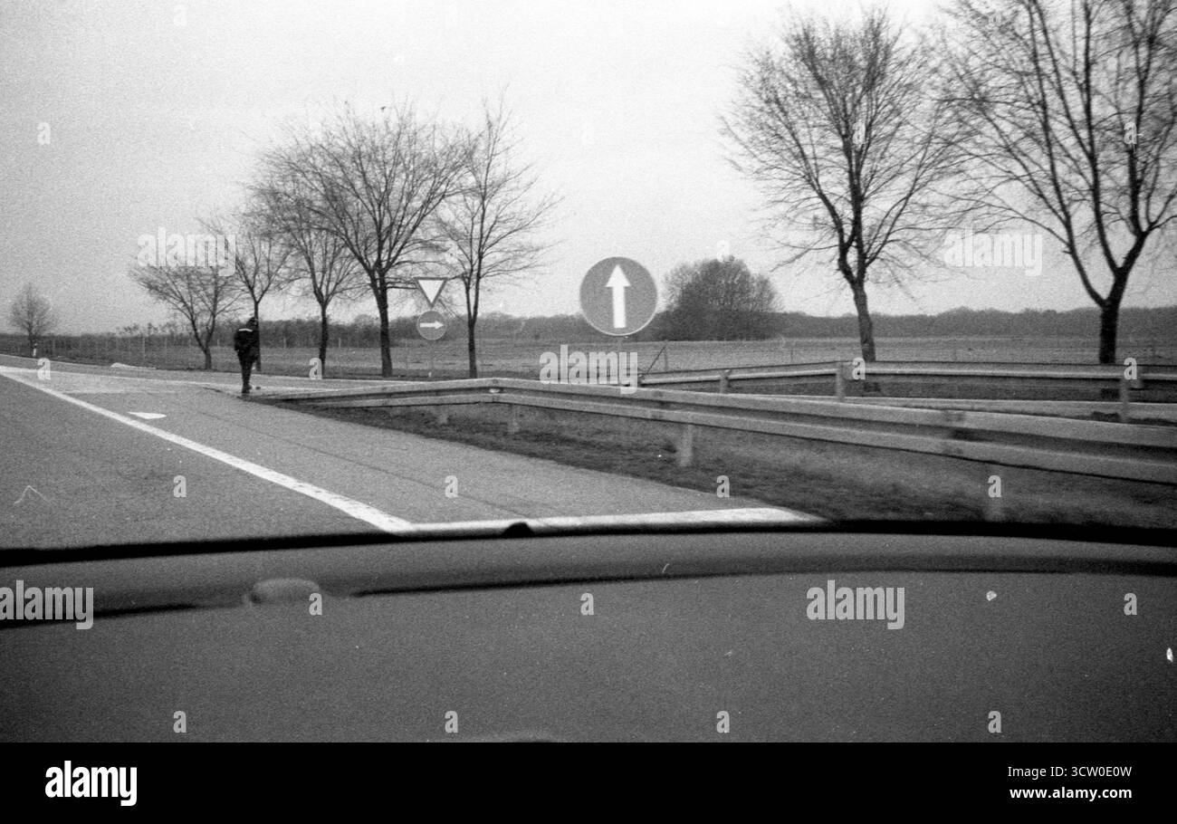 Analog Archive documentaire photo Dairy Banque D'Images