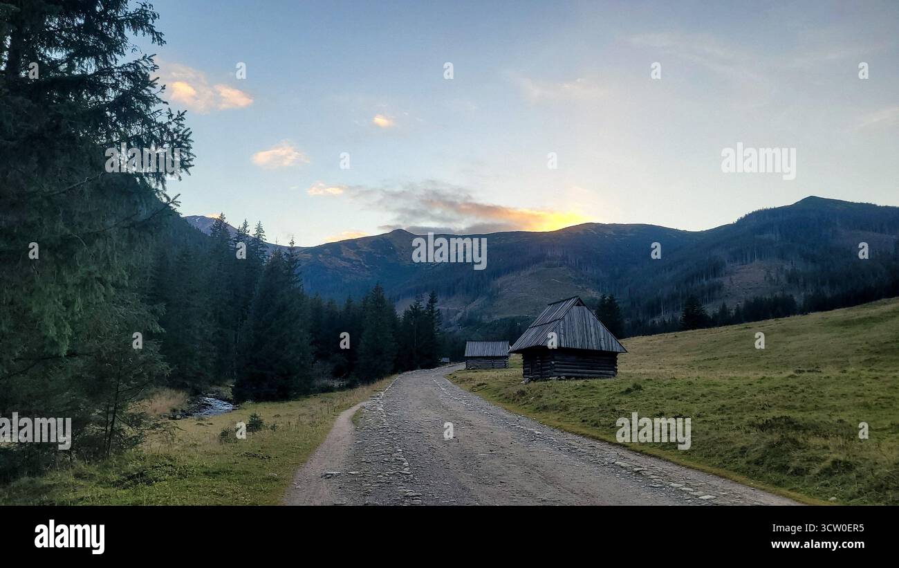 Une vue sereine d'une cabane de berger traditionnelle en bois (szałas) nichée dans une vallée de montagne en Pologne, illuminée par la première lumière de l'aube. Banque D'Images