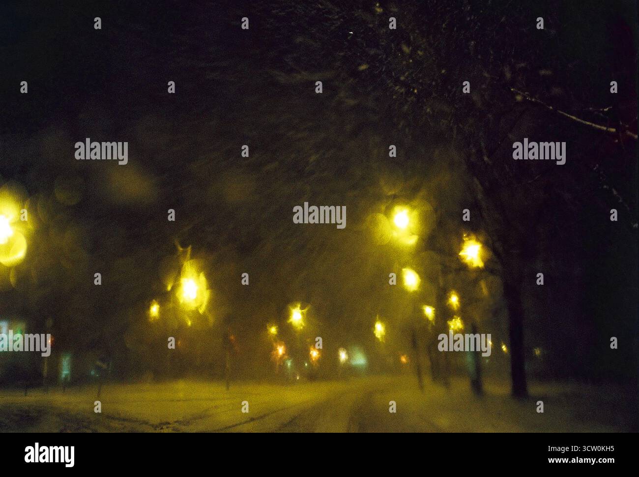 Photo analogique du POV du conducteur la nuit à travers un pare-brise humide et enneigé. Les lampadaires sont flous comme l'aquarelle. Chutes de neige et arbres bordent la route vide. Banque D'Images
