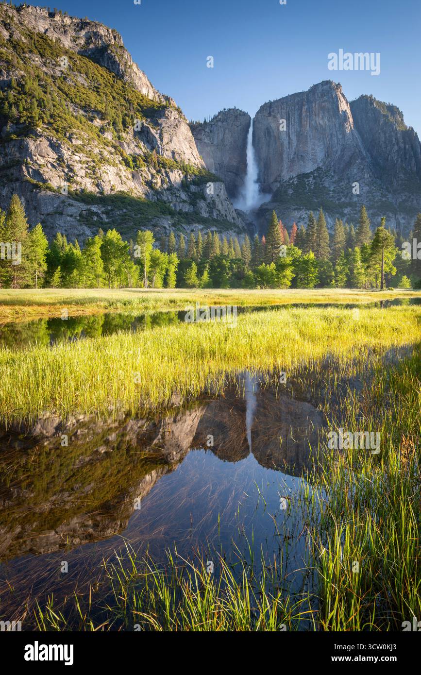 Chutes de Yosemite de Yosemite Valley, Californie, États-Unis. Banque D'Images