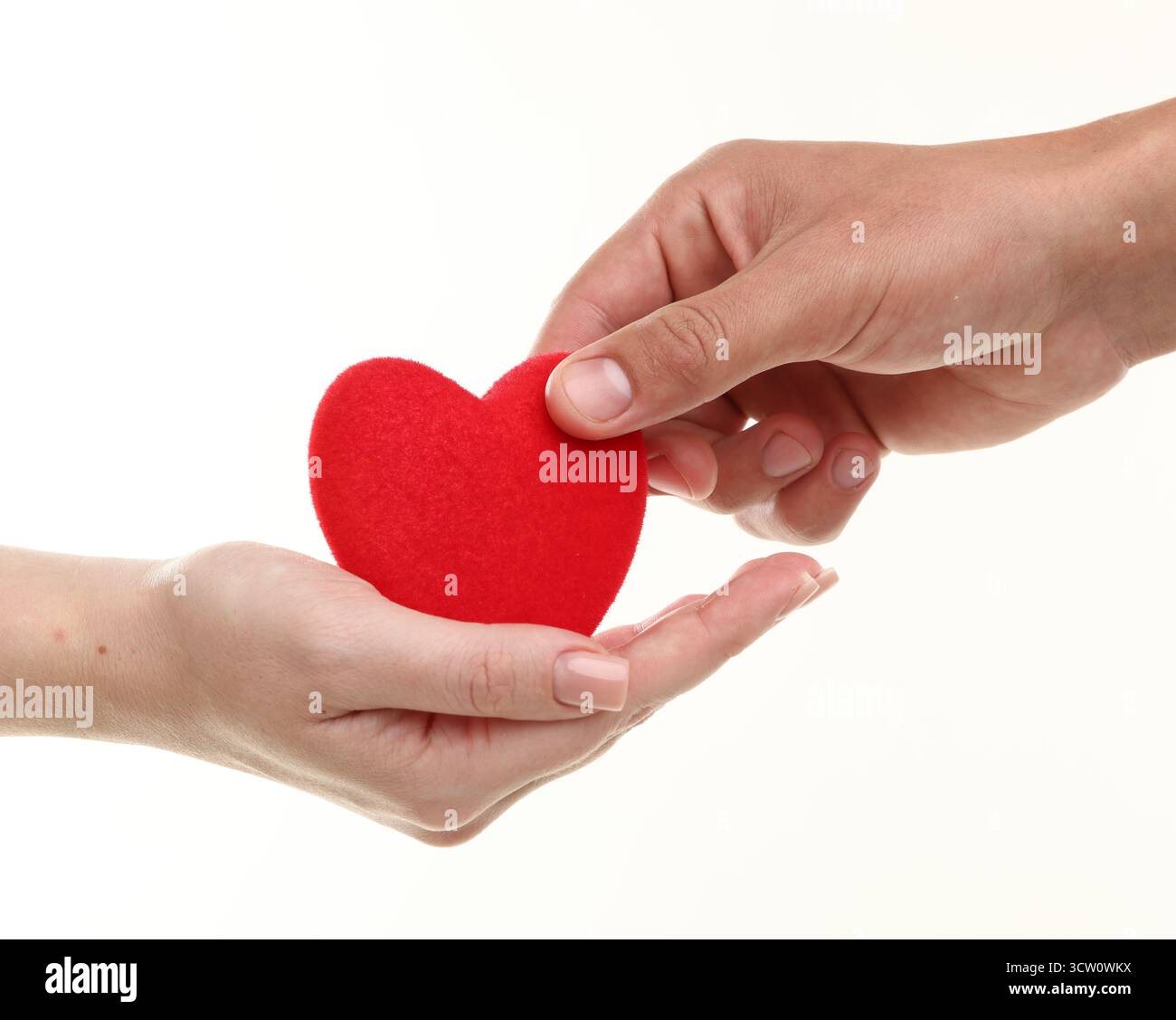 Don de sang. Homme donnant la figure de coeur de femme sur fond blanc, gros plan Banque D'Images