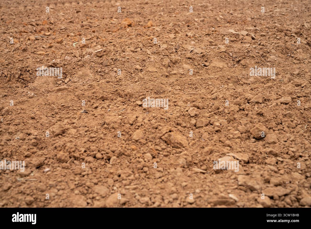 Champ agricole avec saleté labourée après la saison de récolte. Paysage agricole rural préparé pour la plantation de cultures pour soutenir l'agriculture durable Banque D'Images