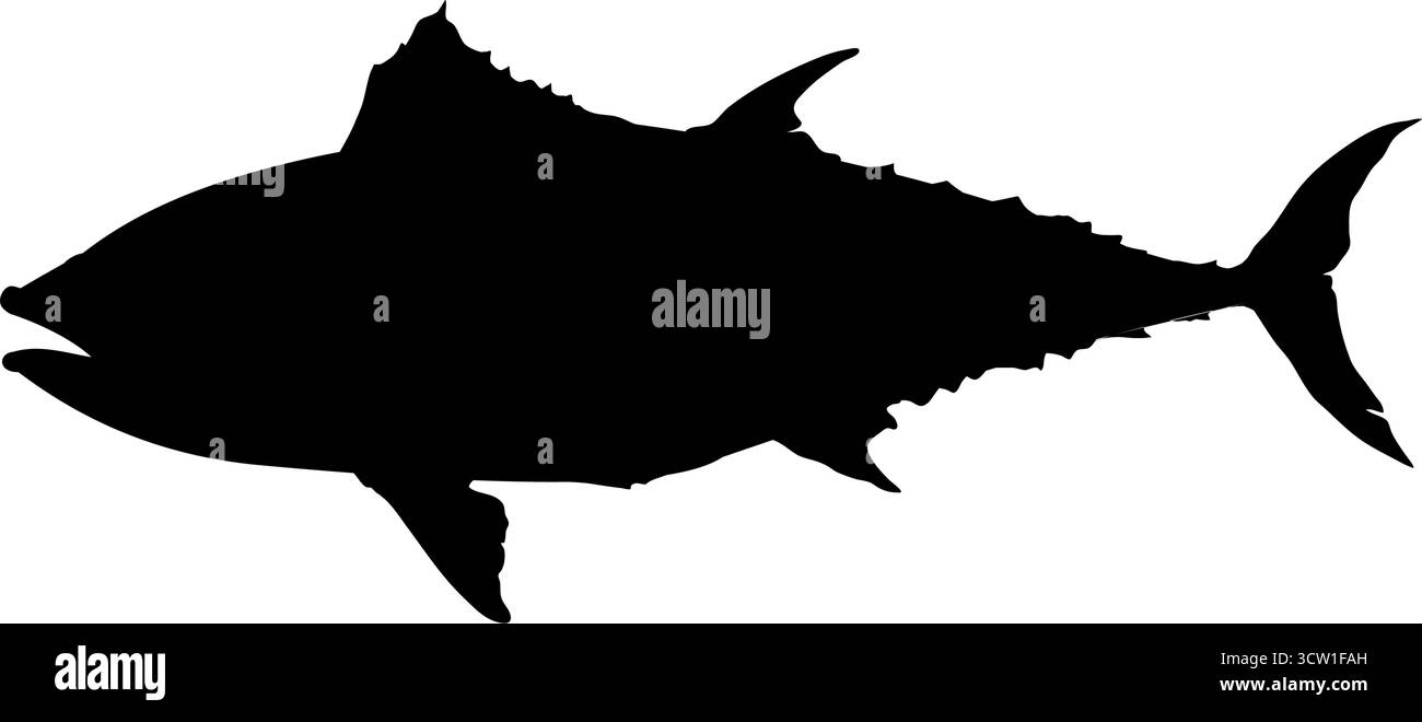 Vecteur de silhouette de poisson de thon Illustration de Vecteur