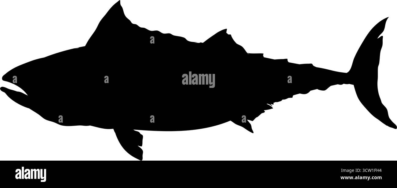 Vecteur de silhouette de poisson de thon Illustration de Vecteur