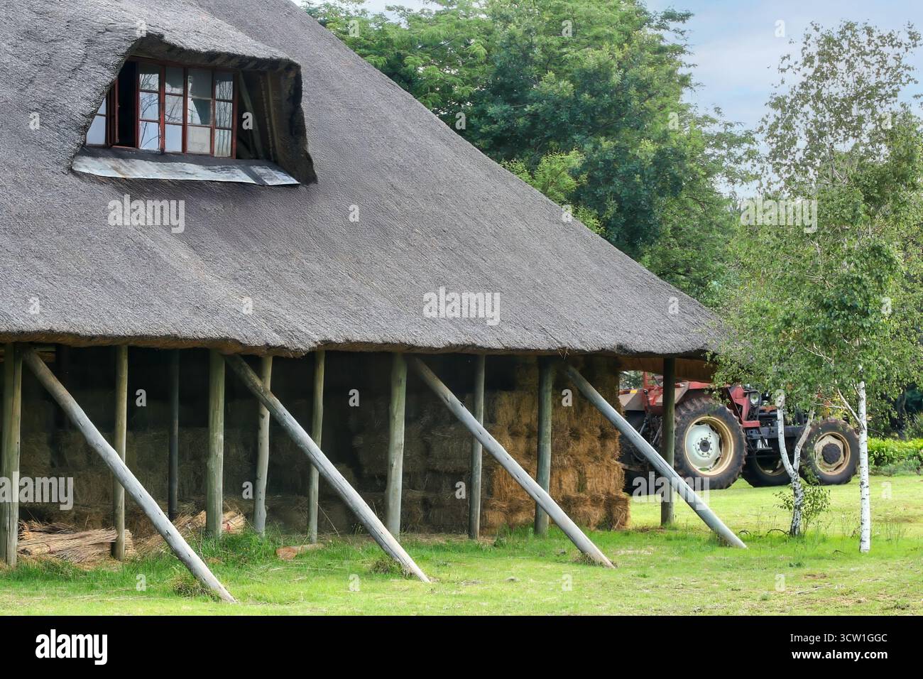 Toit de chaume avec baie vitrée d'une ancienne grange dans un village, balles de paille d'orge de la pile, stockage de foin approprié à l'intérieur dans la grange à l'ombre Banque D'Images
