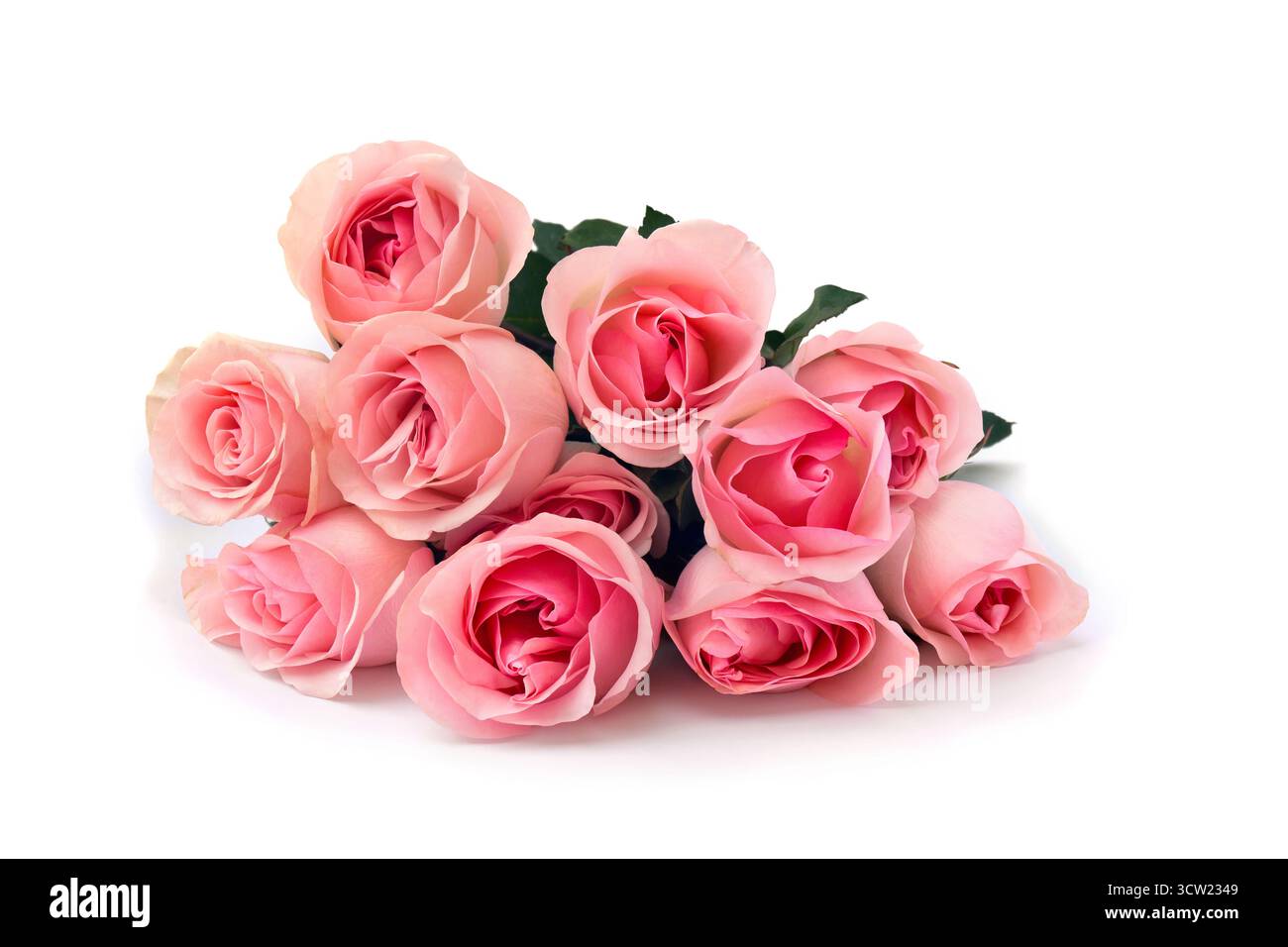 Fleurs sur fond blanc avec espace pour le texte Banque D'Images