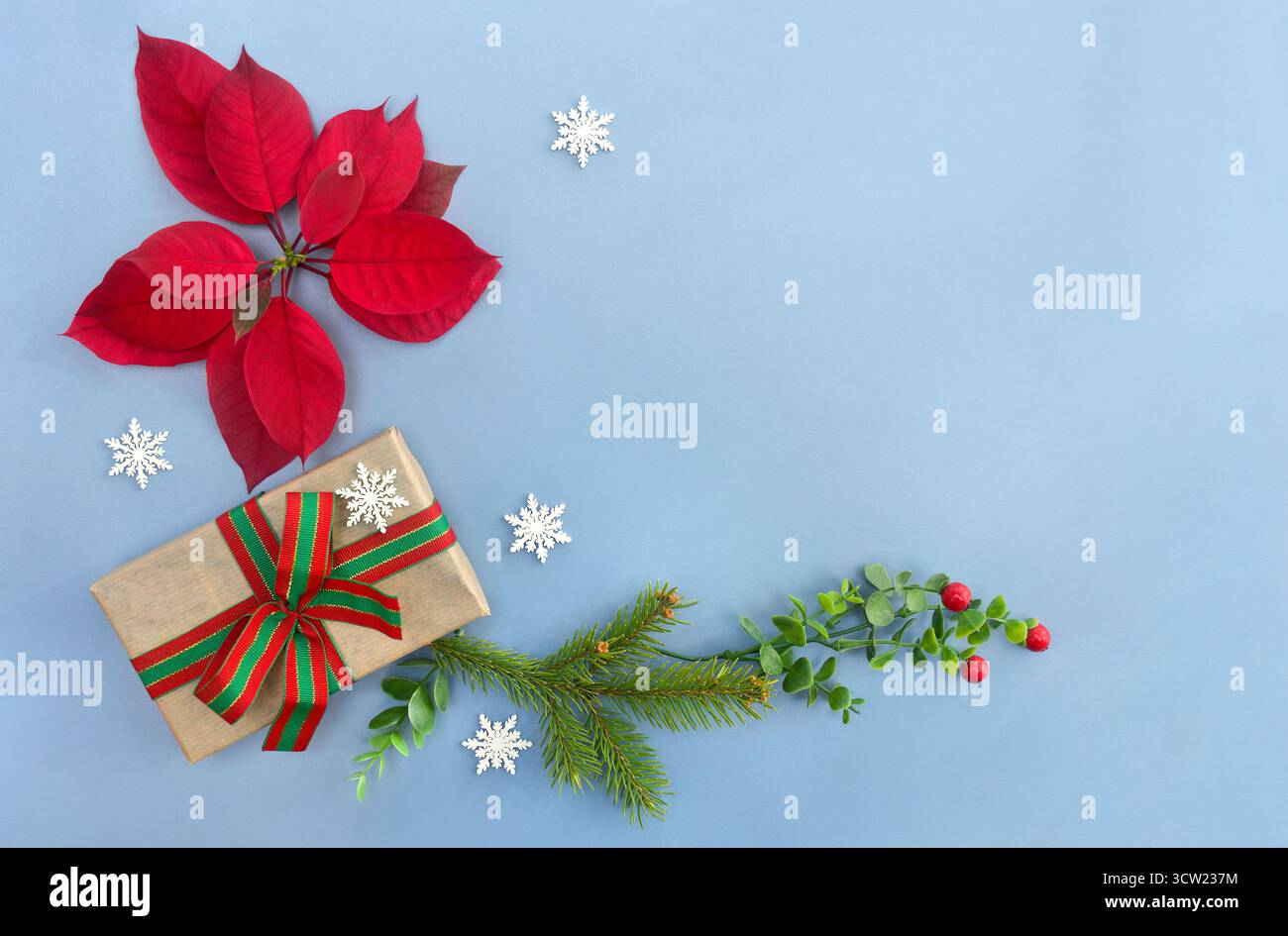 Décoration de Noël. Boîte cadeau, fleur de poinsettia rouge, branche d'arbre de Noël, baie rouge, flocons de neige sur fond bleu avec espace pour le texte. Vue de dessus Banque D'Images