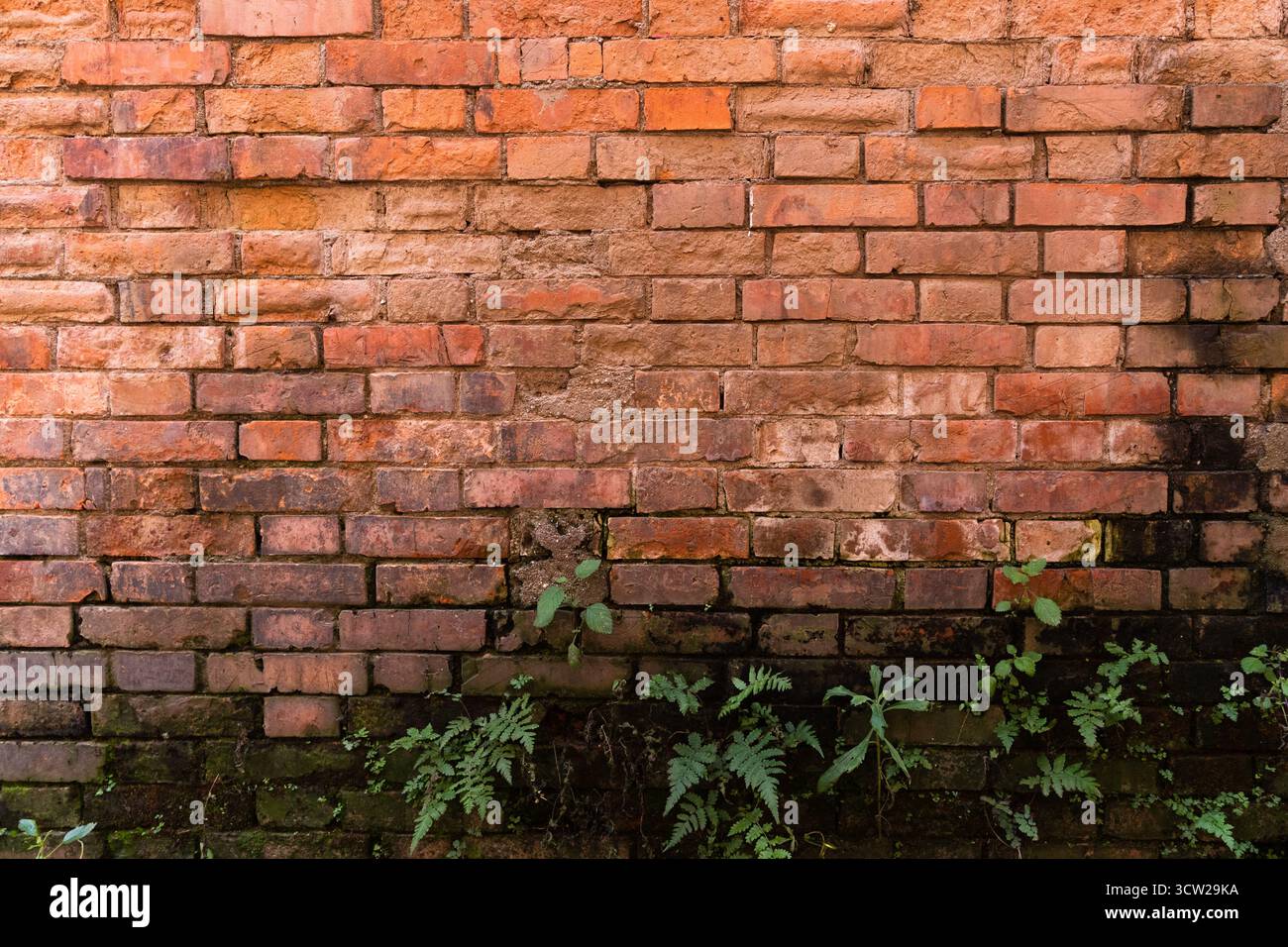 Mur de briques rouges altérées avec surface texturée, peinture pelable et décoloration naturelle, mettant en valeur le caractère rustique et vieilli Banque D'Images