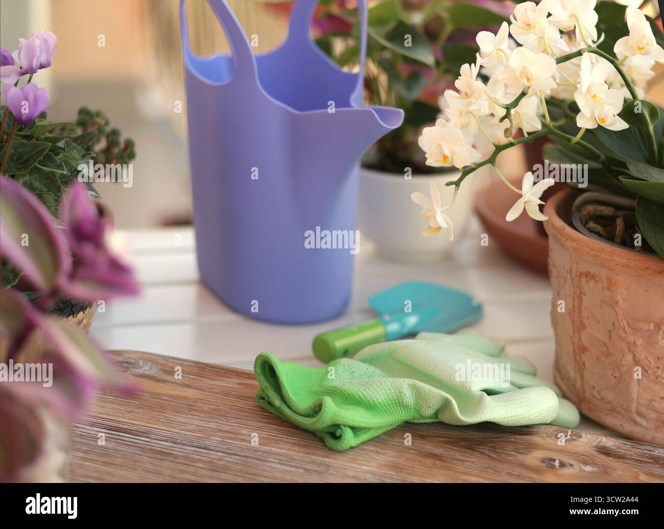 Fleurs en fleurs dans des pots en terre cuite et des outils de jardinage sur la table de balcon. Nature et soin des plantes à domicile. Aménagement de l'espace et aménagement intérieur. Banque D'Images