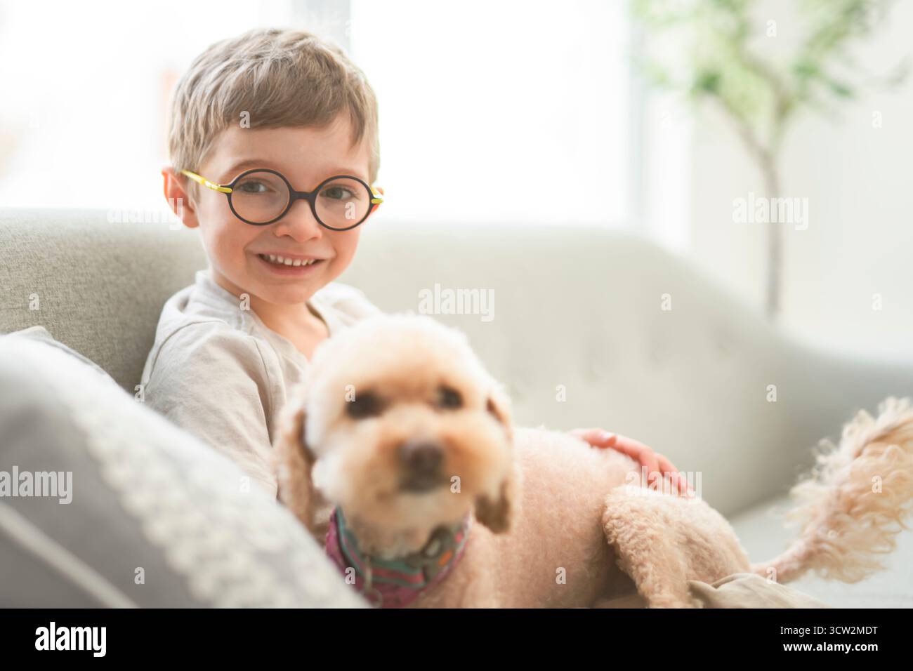 Un portrait de beau petit garçon dans des lunettes assis sur le canapé avec le chien Banque D'Images