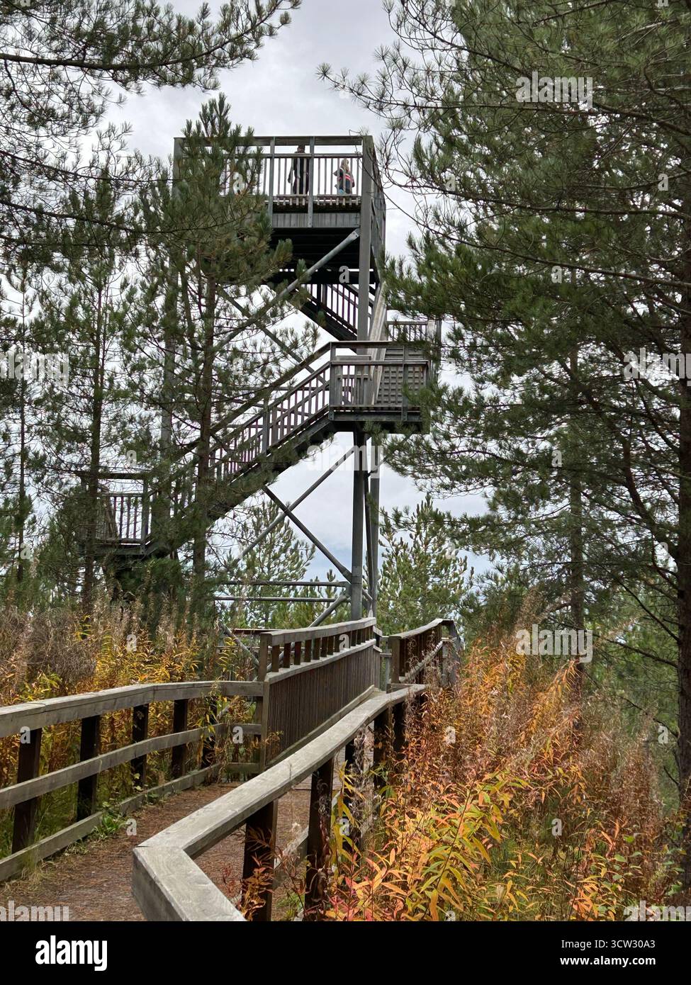 Tour d'observation Hill 99, Culbin Forest, Moray Firth, Écosse. Banque D'Images Tour d'observation Hill 99, Culbin Forest, Moray Firth, Écosse. Banque D'Images