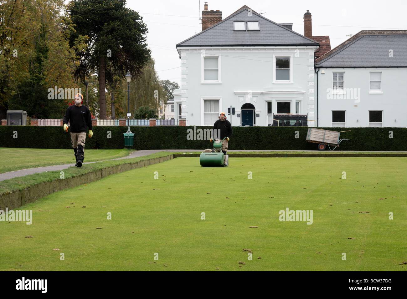 Homme fauchant un bowling green en automne, Victoria Park, Leamington Spa, Warwickshire, Angleterre, ROYAUME-UNI Banque D'Images