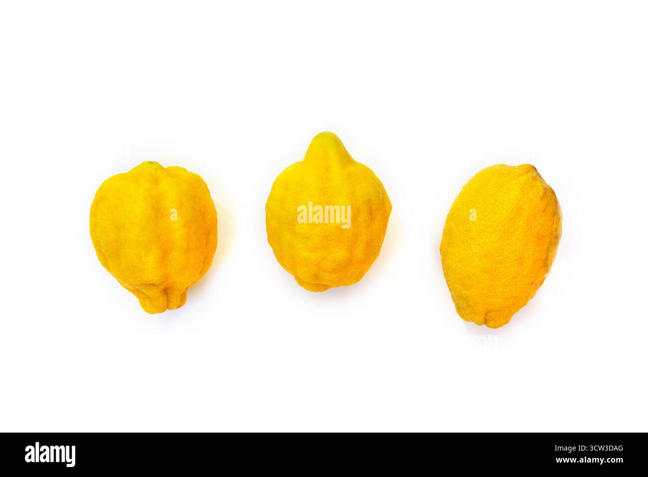 Vue de dessus plat de trois citrons jaunes entiers sur un fond blanc propre avec un espace de copie suffisant. Composition d'agrumes minimaliste, parfaite pour foo Banque D'Images