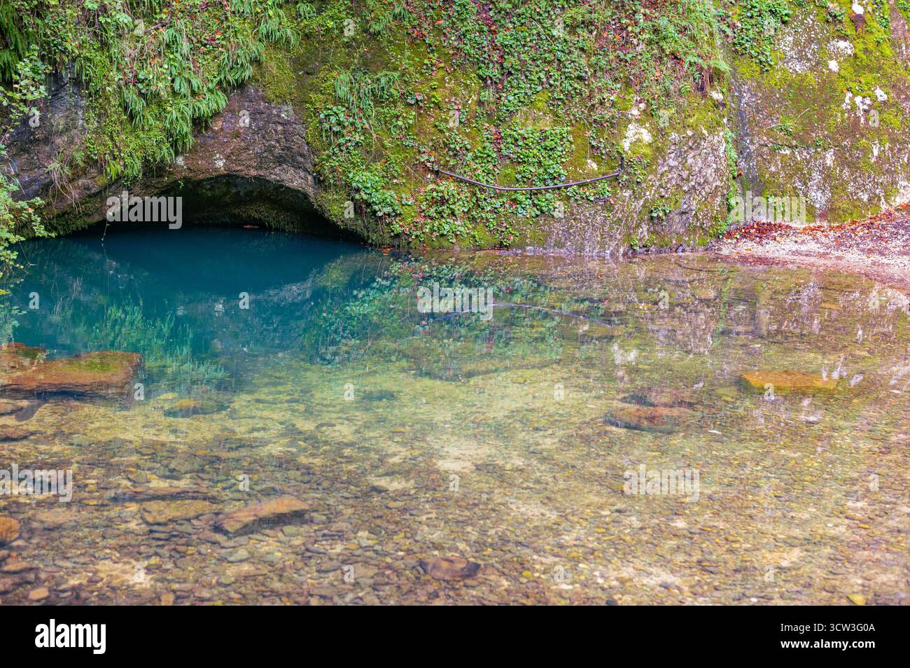 Le printemps a une extraordinaire couleur bleu turquoise naturelle causée par la décomposition naturelle de la lumière du jour dans l'eau translucide. Banque D'Images