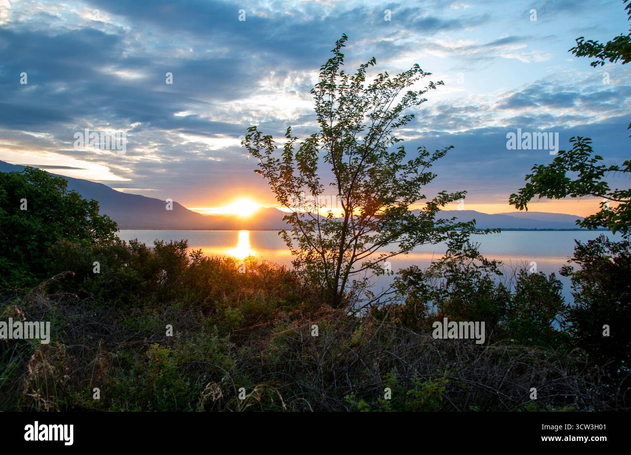 Lever de soleil serein sur le lac tranquille Kerkini avec des arbres silhouettés Banque D'Images