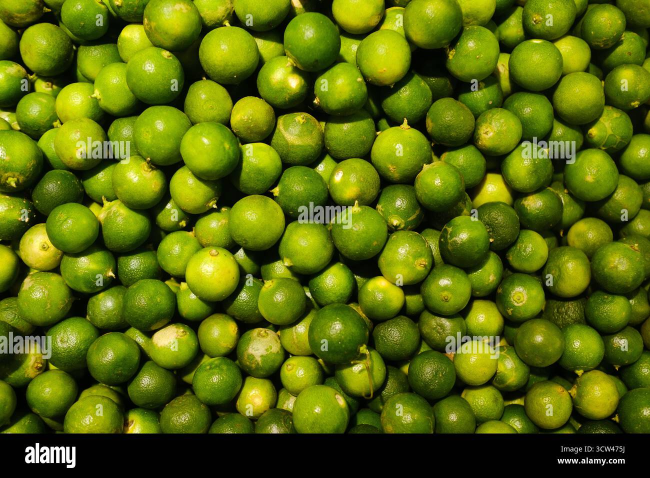 Les citrons verts vifs sont empilés étroitement ensemble, mettant en valeur leur peau brillante et leur aspect frais. Cette scène animée capture l'essence d'un bustlin Banque D'Images