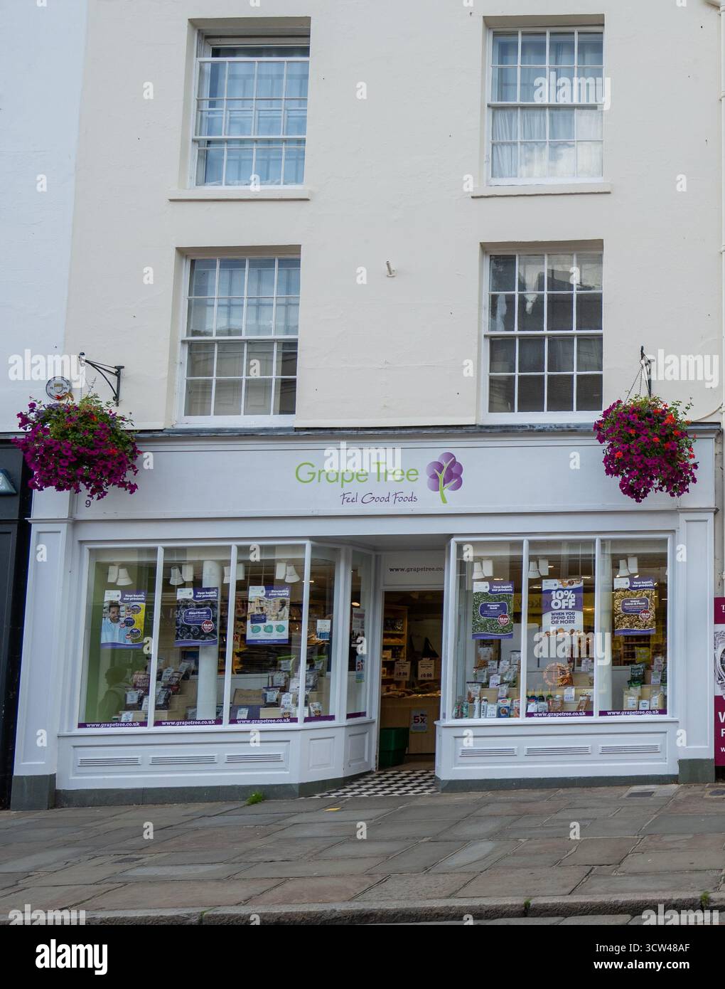 Arbre de raisin Banque D'Images