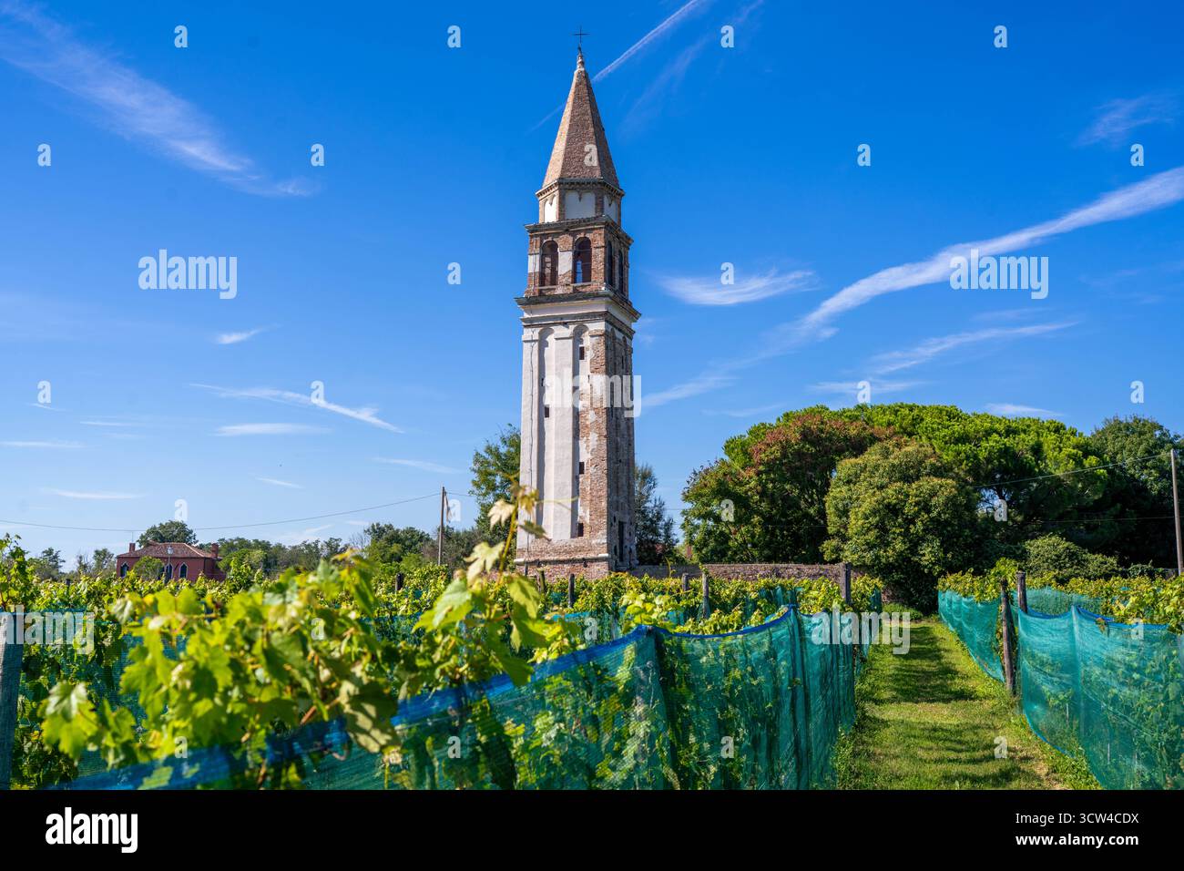 Une tour médiévale près D'Un vignoble sur l'île de Mazzorbo en Italie Banque D'Images