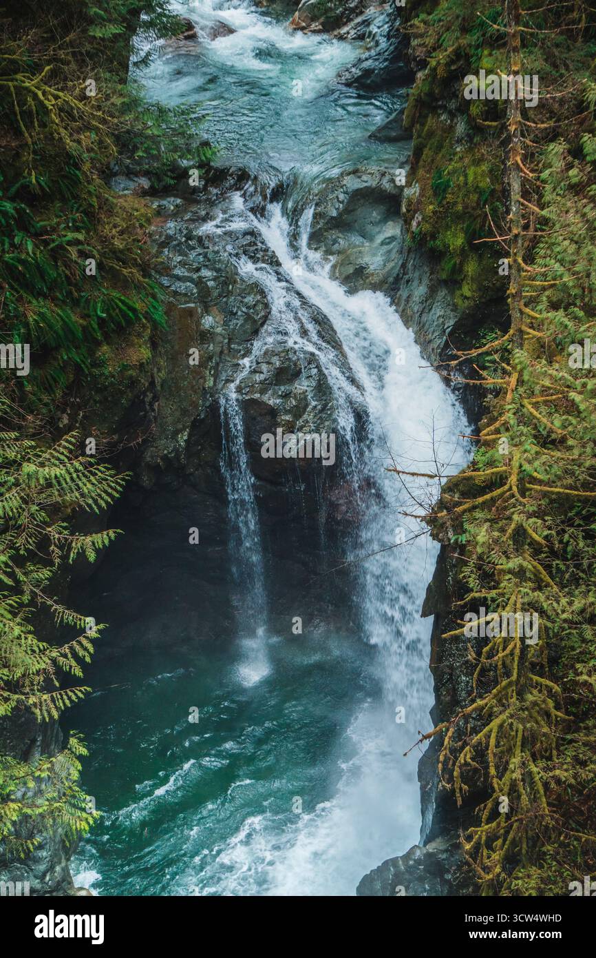 Une superbe cascade coule le long de falaises rocheuses entourées d'arbres verdoyants. La lumière du soleil filtre à travers le feuillage, soulignant les couleurs vibrantes de Banque D'Images