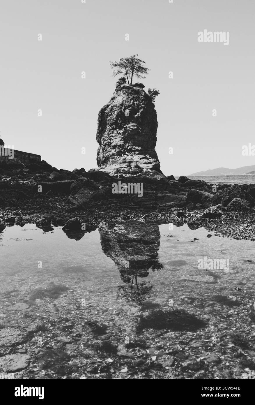 Une grande formation rocheuse s'élève du rivage, surmontée d'un petit arbre. La zone environnante est calme, reflétant la roche dans l'eau peu profonde pendant basse Banque D'Images