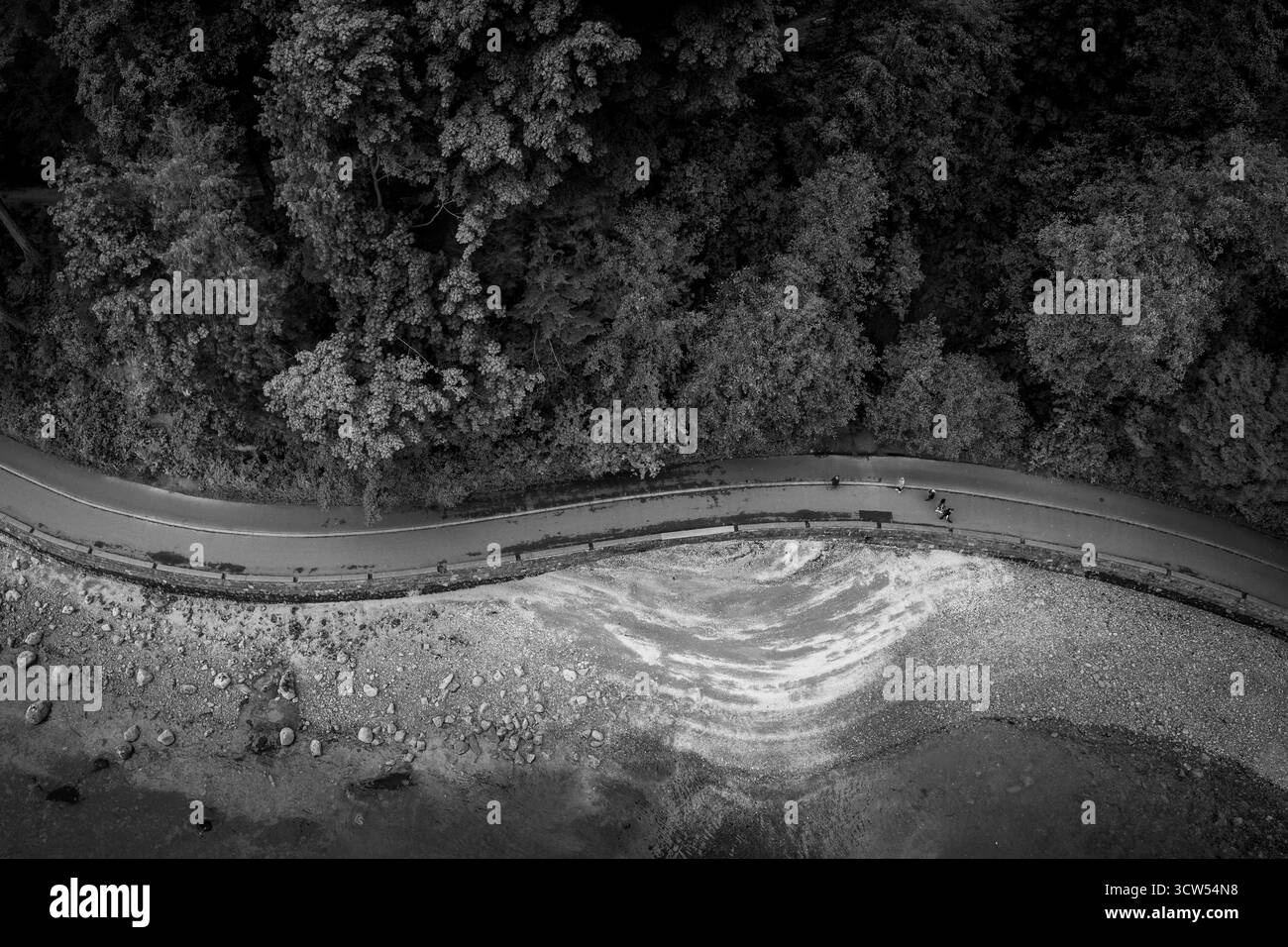 Une vue tranquille sur un chemin sinueux à côté d'un rivage lisse. Des arbres luxuriants encadrent le chemin, tandis que de douces vagues se jettent sur la plage de sable pendant une journée calme. Banque D'Images