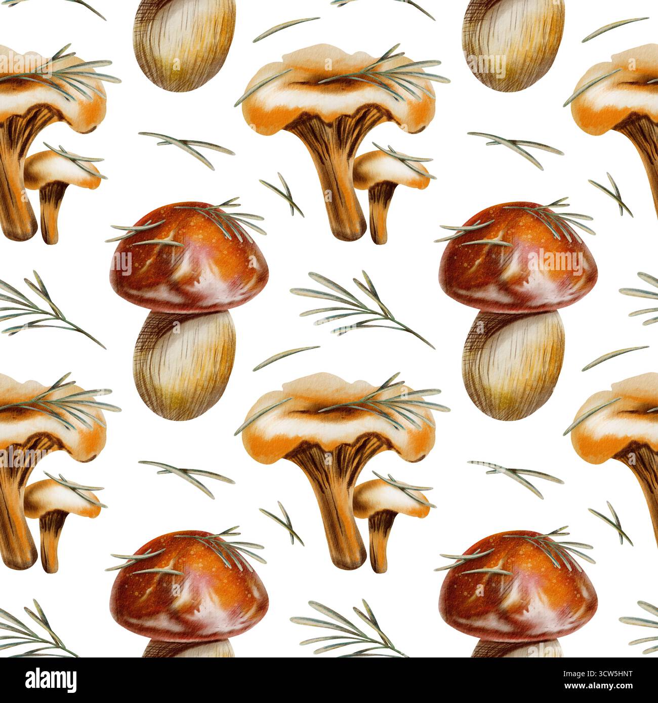 Modèle sans couture d'automne avec chanterelles, boletus de bouleau brun, champignons boletus à chapeau rouge avec aiguilles de pin, servant de symboles de sérénité d'automne Banque D'Images