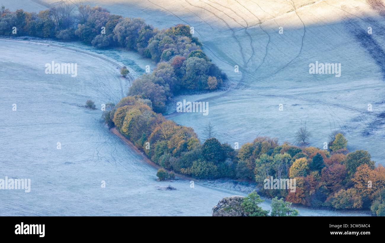Frozen Field vista avec une ligne d'arbres colorés serpentant à travers le paysage. Un environnement serein et froid pendant la saison d'automne. Les rochers Sulov, Banque D'Images