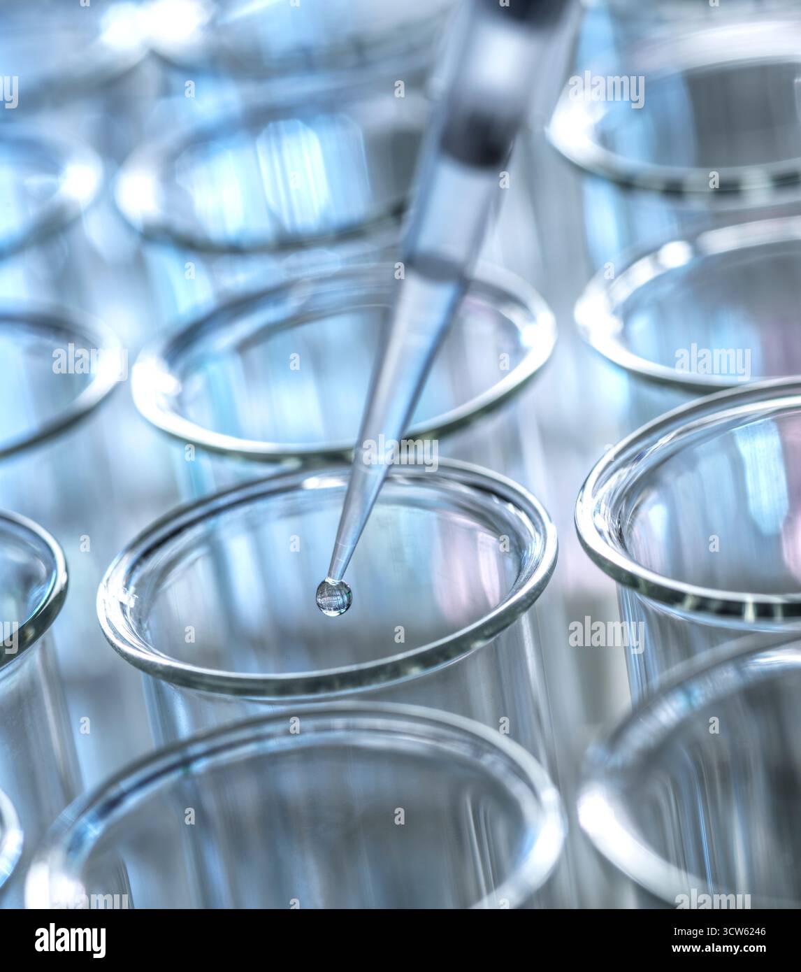 Scientifique pipettant un échantillon lors d'une expérience de laboratoire Banque D'Images