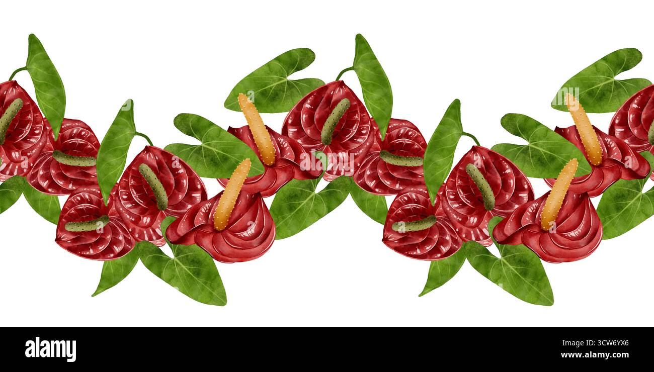 Bordure sans couture aquarelle avec des fleurs d'anthurium rouges et des feuilles vertes sur un fond blanc. Parfait pour le design tropical, l'emballage, les invitations, tex Banque D'Images
