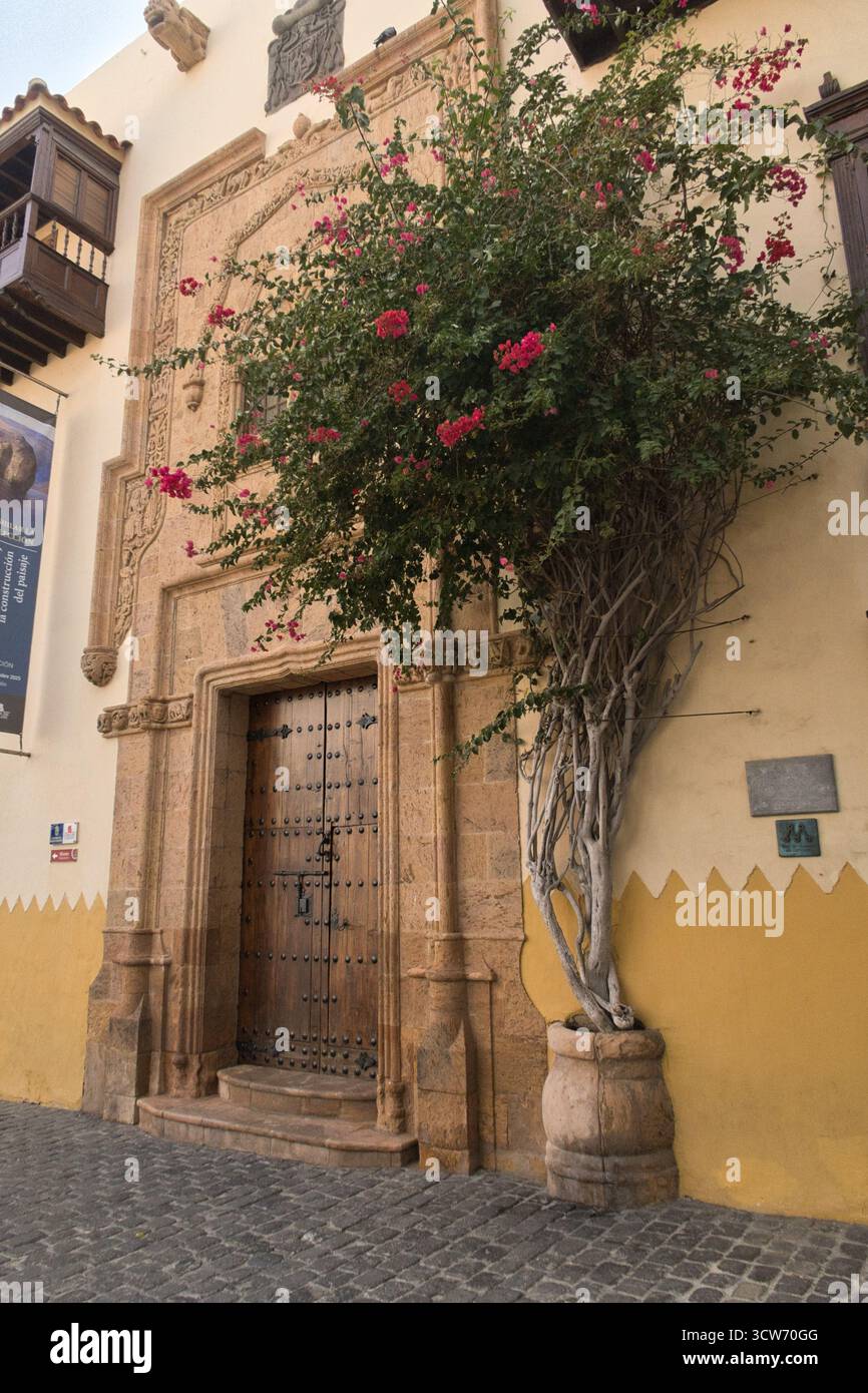 Entrée historique ornée de pierres avec Bougainvillea dotée d'un cadre en pierre sculptée orné, d'une porte en bois cloutée et d'un bougainvillier vibrant Banque D'Images