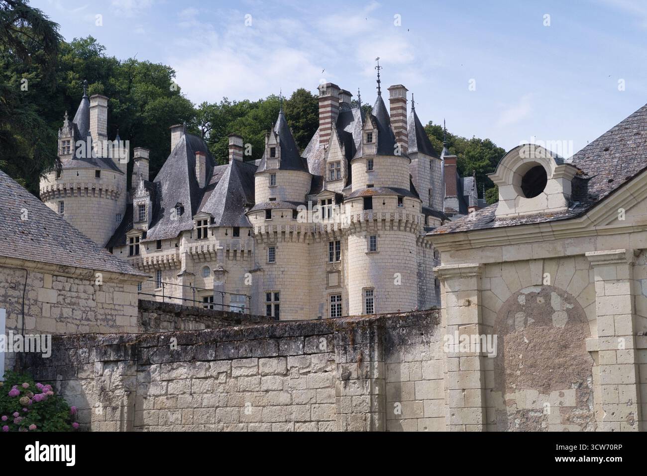 Tourelles de conte de fées du Château d'Ussé - vue pittoresque sur le Château d'Ussé (château de la belle au bois dormant) dans la vallée de la Loire, montrant ses nombreuses coniques Banque D'Images