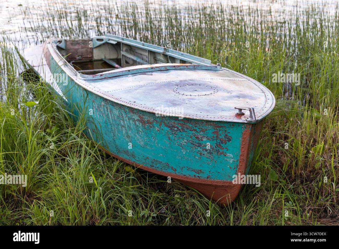Un vieux bateau vert se trouve dans de hautes herbes et des roseaux à côté d'un lac tranquille Banque D'Images