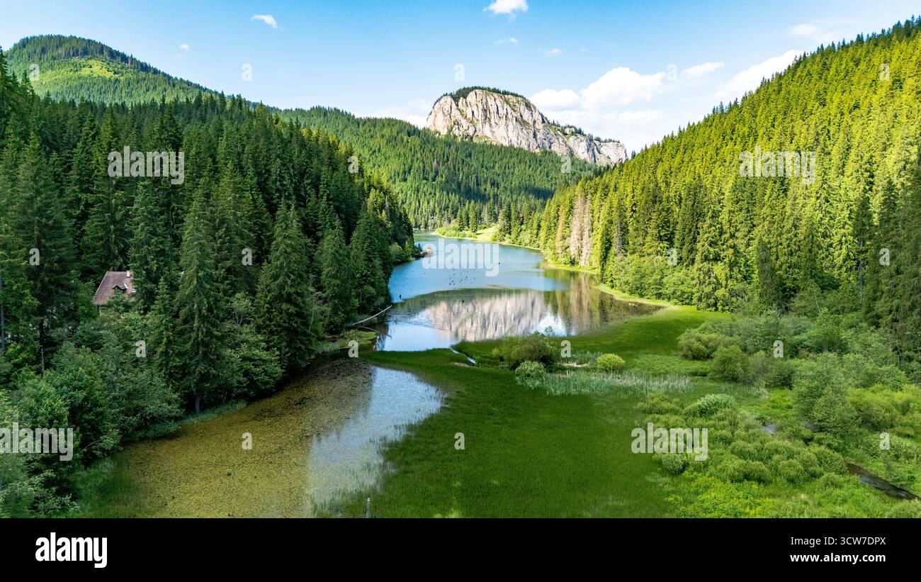 Vue aérienne paysage d'été du lac Red dans le comté de Harghita. Roumanie. Banque D'Images