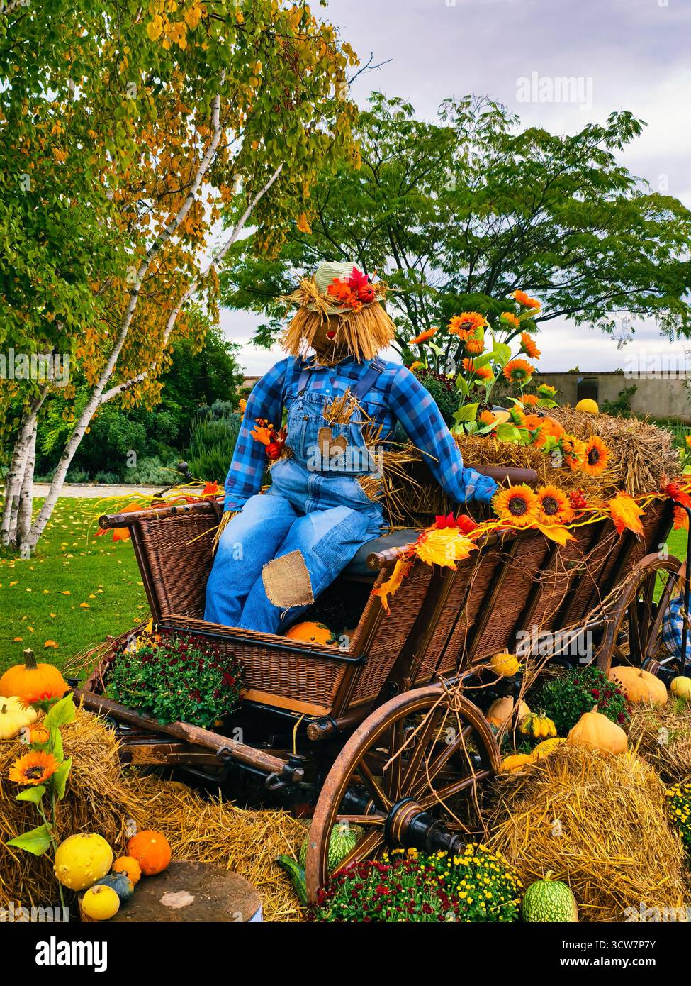 Épouvantail d'automne sur chariot en bois avec citrouilles tournesols Hay Fall Garden décoration Harvest Festival scène de Thanksgiving. Fond d'automne Banque D'Images