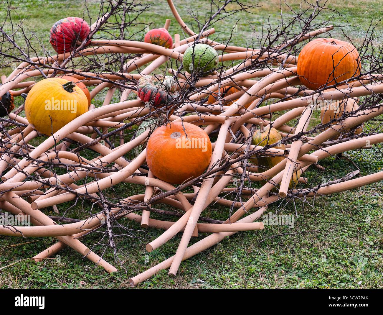 Citrouilles d'automne gourdes sur bambou décoratif structure en brindilles affichage jardin d'automne Creative Harvest Arrangement installation d'art extérieur Banque D'Images