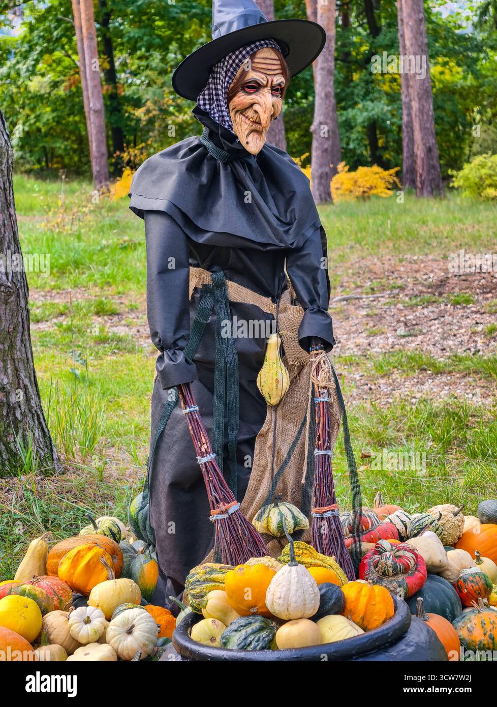 Halloween Witch costume femme en robe noire avec citrouilles Fall Leaves Autumn Garden Party décoration Fantasy personnage Portrait. Arrière-plan de la nature. Banque D'Images