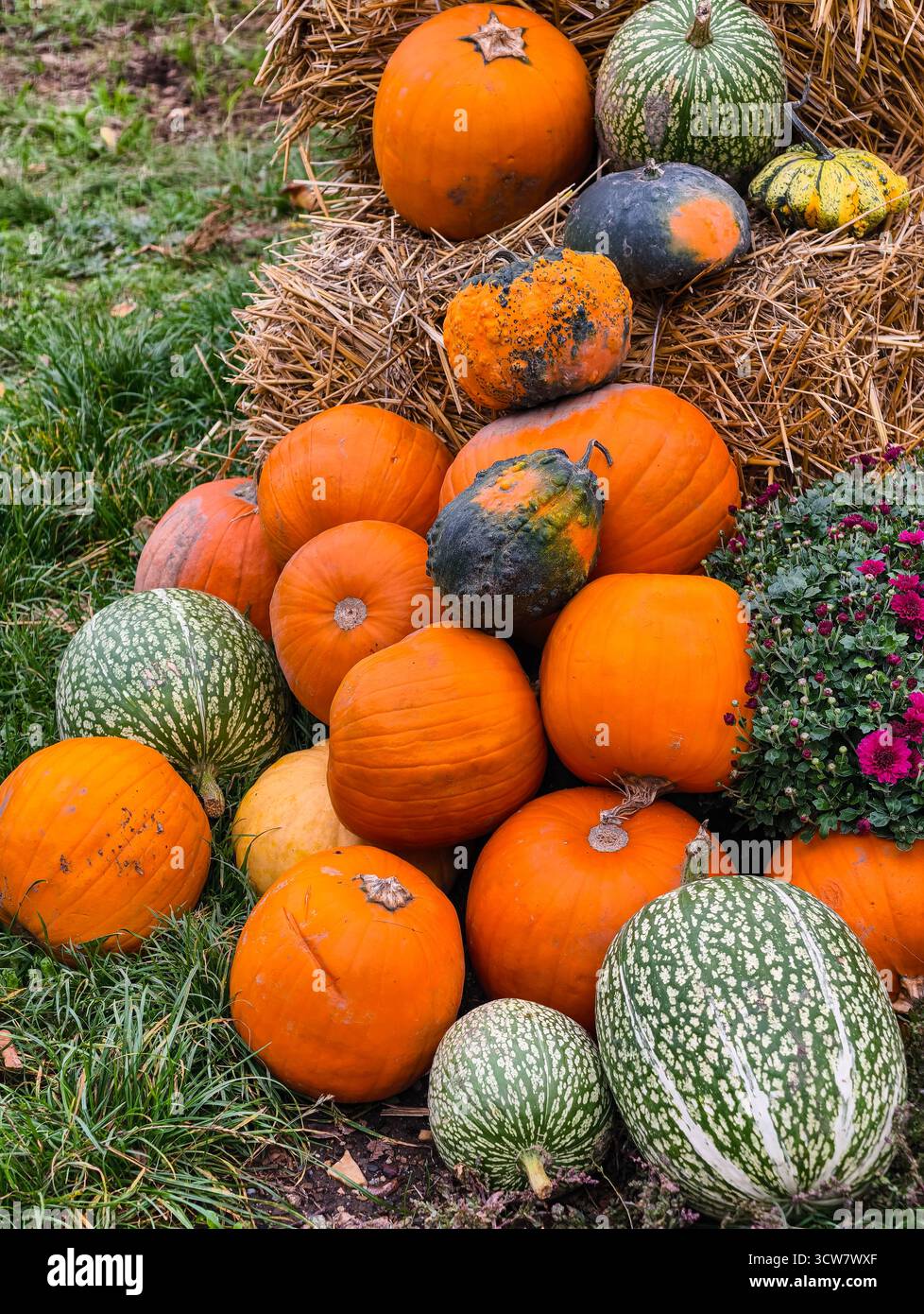 Citrouilles colorées gourdes de foin affichage de balles de foin jardin de récolte d'automne variétés orange vert rayé automne Configuration de décoration saisonnière. Ultra haute résolution Banque D'Images