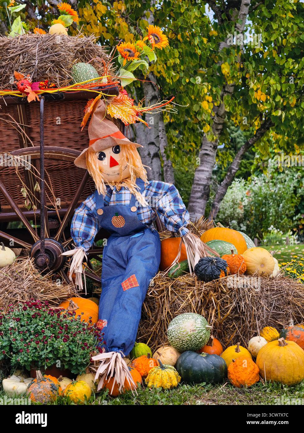 Épouvantail d'automne sur chariot en bois avec citrouilles tournesols Hay Fall Garden décoration Harvest Festival scène de Thanksgiving. Fond d'écran automne Banque D'Images