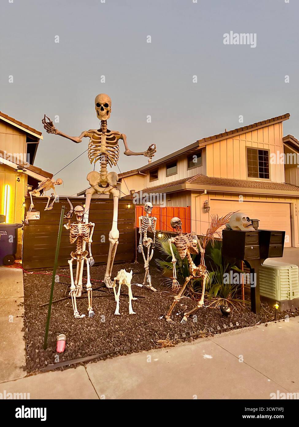 Skeleton Family Halloween Yard Display au coucher du soleil en Californie - Image de stock capturée avec un smartphone