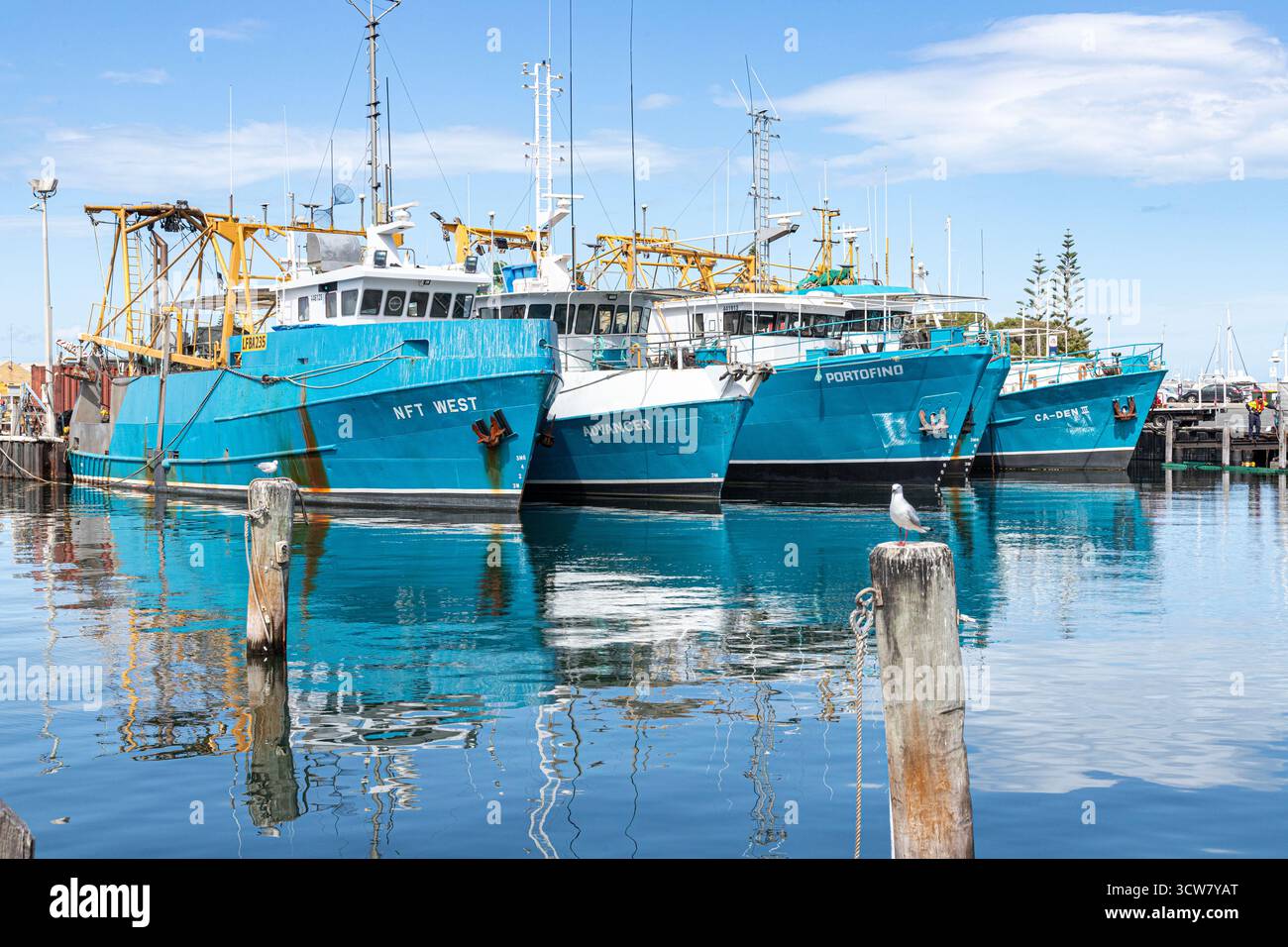 Bateaux de pêche commerciale à Fremantle Fishing Boat Harbour à Fremantle 6160 (Walyalup) près de Perth, Western Australia, WA, Australie Banque D'Images