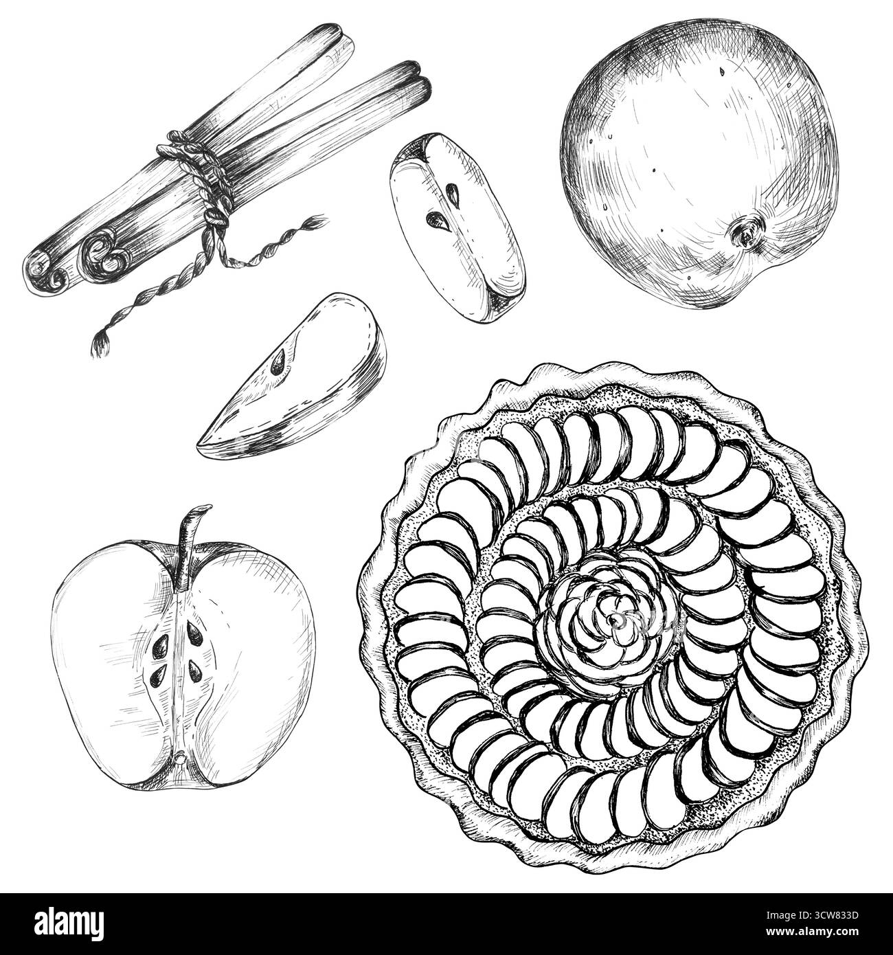 Un paquet de dessins à l'encre de pommes et de tranches, bâtonnets de cannelle, tarte aux pommes. Clipart monochrome boulangerie. Ligne noire et blanche Illustration dessinée à la main Banque D'Images