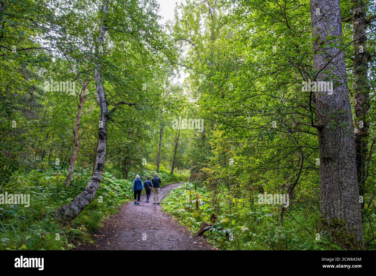 Promeneurs sur un sentier au centre de nature Eagle River, Eagle River, Alaska, États-Unis Banque D'Images